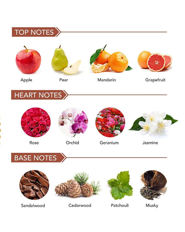 BURJ KHALIFA - INSPIRED BY WISAAL (UNISEX) - Image 3